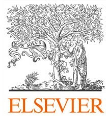 Logo nagrody Elsevier